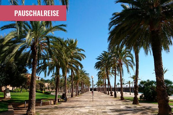 Touren nach Mallorca werden Ihnen viel erzählen